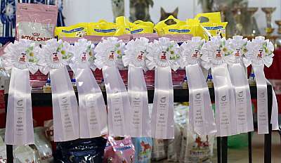   '--' 22-23  2014 169A8103 copy.jpg